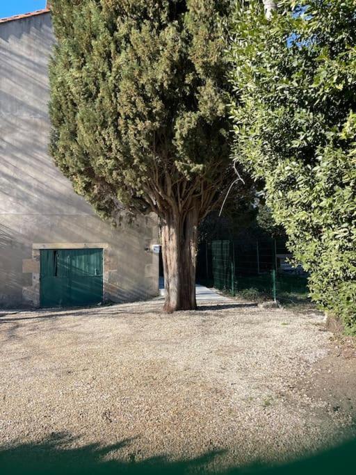 7 Rayons Villa Avignon Bagian luar foto